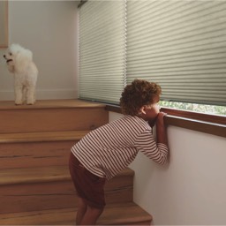 DUETTE® Honeycomb Shades